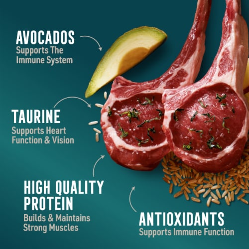 ABOUND® Adult Dry Dog Food Lamb & Brown Rice with Avocado Perspective: right