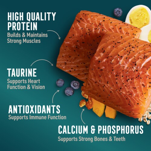 ABOUND® All Life Stages Dry Dog Food Superfood Blend Salmon Egg & Pumpkin Perspective: right