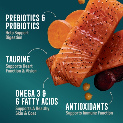 ABOUND® Grain Free All Life Stages Dry Dog Food Salmon & Sweet Potato Perspective: right