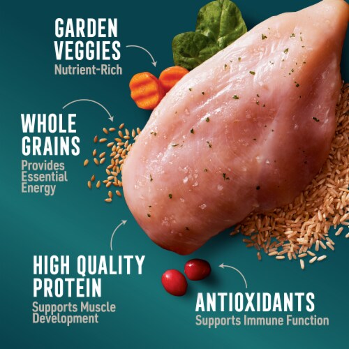 ABOUND® All Life Stages Dry Dog Food Chicken & Brown Rice Perspective: right