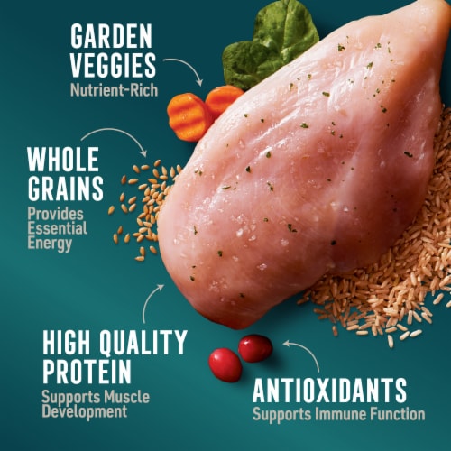 ABOUND® All Life Stages Dry Dog Food Chicken & Brown Rice Perspective: right