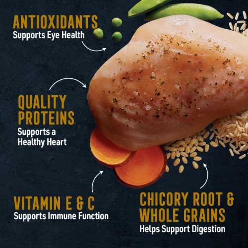 ABOUND® Pro Vet Formulated Puppy Dry Dog Food Chicken & Brown Rice Perspective: right