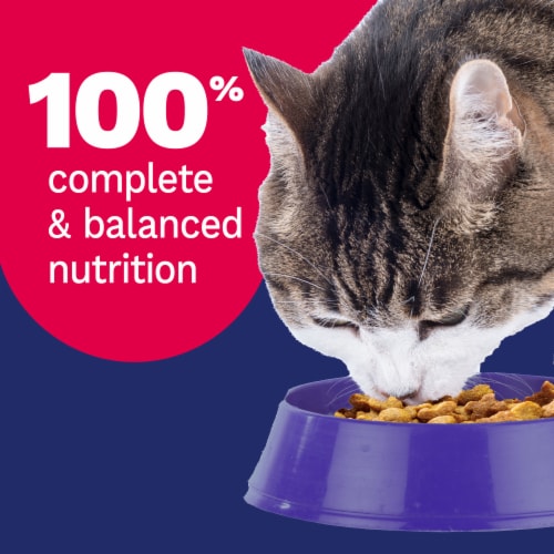 Pet Pride® Complete Nutrition All Life Stages Dry Cat Food Seafood Variety Mix Perspective: right