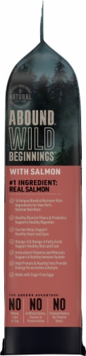ABOUND® Wild Beginnings™ Adult Dry Cat Food with Salmon Perspective: right
