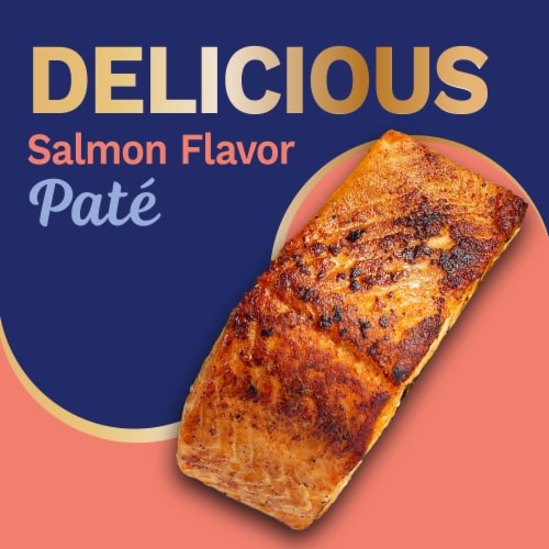 Pet Pride® All Life Stages Wet Cat Food Savory Salmon Dinner Paté, 3 ...