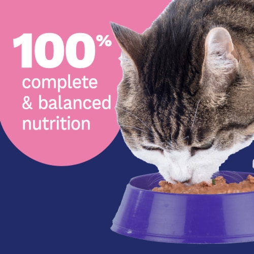 Pet Pride® All Life Stages Wet Cat Food Salmon Dinner Paté Perspective: right