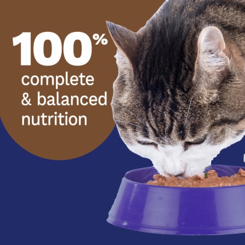 Pet Pride® All Life Stages Wet Cat Food Turkey & Giblets Dinner Paté Perspective: right
