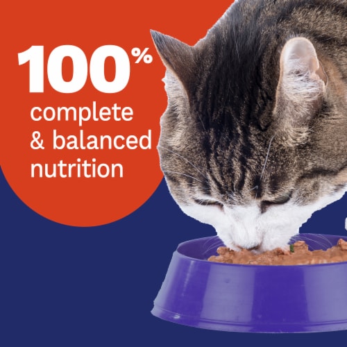 Pet Pride® Adult Wet Cat Food Chicken & Salmon Dinner in Gravy Shreds Perspective: right