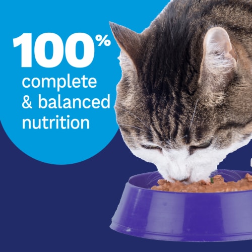 Pet Pride® Adult Wet Cat Food Turkey & Cheese Flavored Dinner In Gravy Shreds Perspective: right
