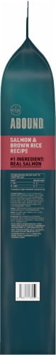 ABOUND® All Life Stages Dry Cat Food Salmon & Brown Rice Perspective: right