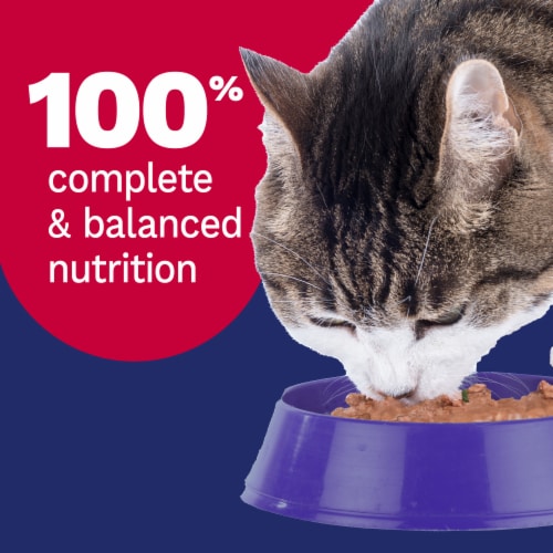 Pet Pride® Adult Wet Cat Food Beef Dinner in Gravy Perspective: right