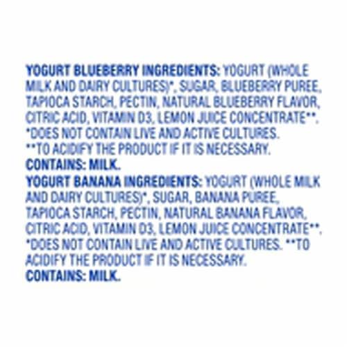 Kroger® Blueberry and Banana Fruit and Yogurt Pouches Multipack Perspective: right