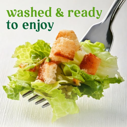 Simple Truth Organic® Classic Caesar Salad Kit Perspective: right