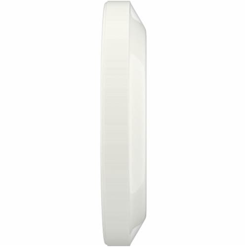 Simple Truth® 10.25-Inch Dinner Plates Perspective: right