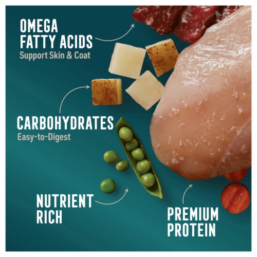 Abound™ Grain Free Beef & Vegetable Cuts in Gravy Wet Dog Food Perspective: right