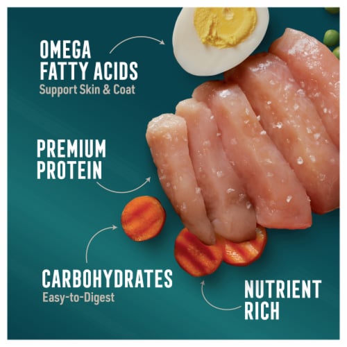 ABOUND® Grain Free Wet Dog Food Chicken and Vegetables in Gravy Perspective: right