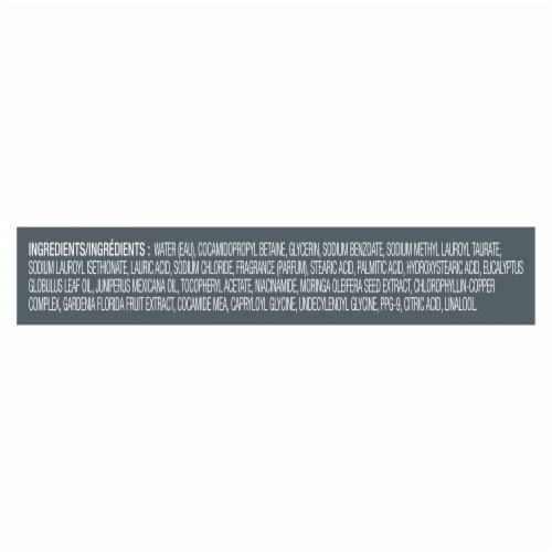 Dove Men+Care Body Wash to Rebuild Skin, Eucalyptus + Cedar Oil w/ Plant-Based Cleanser +Moisturizer Perspective: right