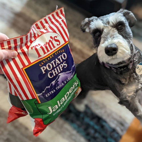 Tim’s Cascade® Jalapeño Cascade Style Potato Chips Party Size Perspective: right