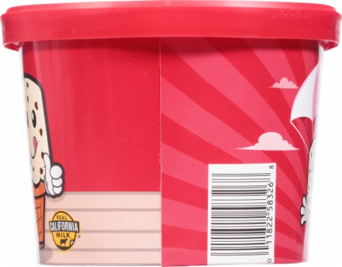 Thrifty Chocolate Chip Ice Cream Tub Perspective: right