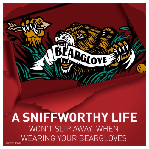 Old Spice® Wild Collection Anti-Perspirant & Deodorant Stick Bearglove 2-Pack Perspective: right