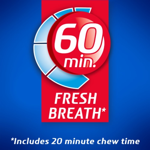 Dentyne Ice Peppermint Sugar Free Gum Perspective: right