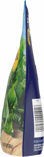 Birds Eye® Steamfresh® Chopped Spinach Perspective: right