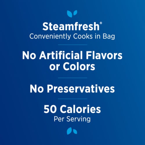 Birds Eye Steamfresh Asian Vegetable Medley Frozen Vegetables Perspective: right
