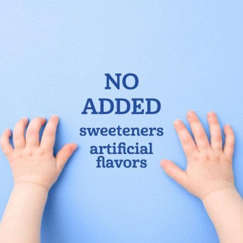 Gerber Fruit & Yogurt Toddler Food Variety Pack Pouches Perspective: right