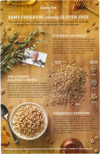 General Mills Honey Nut Cheerios Family Size Cereal Perspective: right