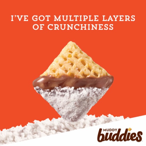 Chex Mix Peanut Butter and Chocolate Muddy Buddies Individual Lunch Box Snack Bag Perspective: right