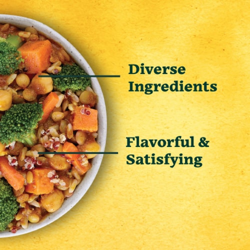 Sweet Earth Vegan Curry Tiger Vegan Frozen Dinner For One Perspective: right