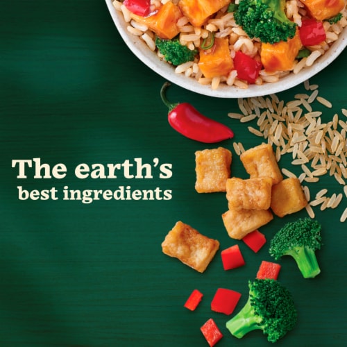 Sweet Earth Vegan General Tso's Tofu Frozen Meal Perspective: right