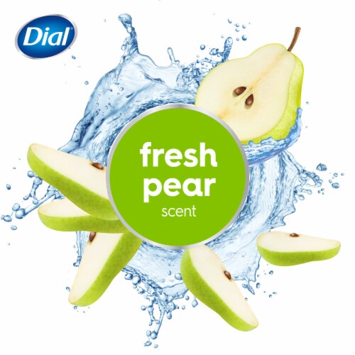 Dial® Antibacterial Defense™ Fresh Pear Foaming Hand Wash Perspective: right