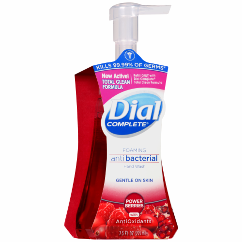 Dial holiday foaming hand soap 2025