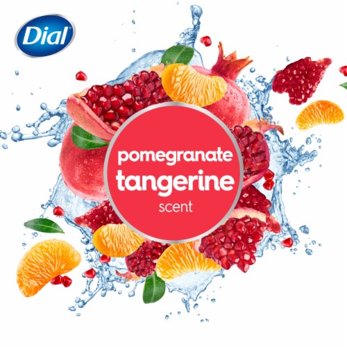 Dial® Antibacterial Defense™ Liquid Hand Soap Pomegranate & Tangerine Perspective: right