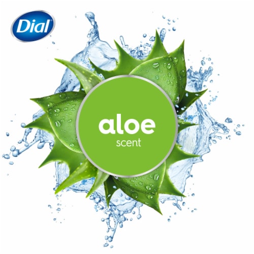 Dial® Antibacterial & Sensitive™ Hypoallergenic Aloe Liquid Hand Soap Perspective: right