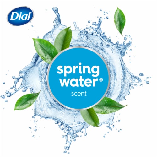 Dial® Antibacterial Defense™ Foaming Hand Wash Refill Spring Water® Scent Perspective: right