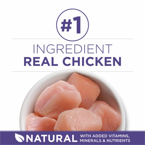 Purina ONE +Plus Adult Natural Hairball Control Dry Cat Food Real Chicken Perspective: right
