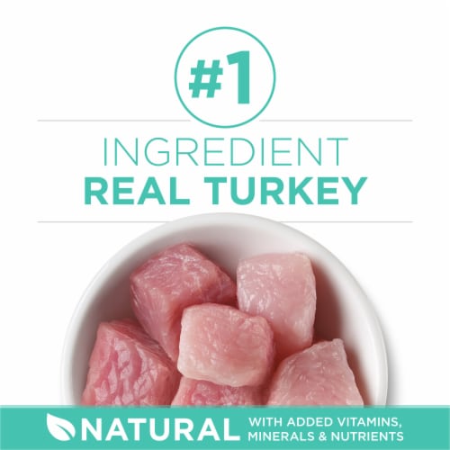 Purina ONE +Plus Sensitive Skin & Stomach Adult Dry Cat Food Real Turkey Perspective: right