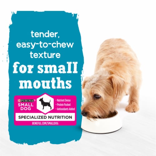Purina® Beneful® IncrediBites® Chicken & Natural Bacon & Porterhouse Steak Flavor Wet Dog Food Perspective: right