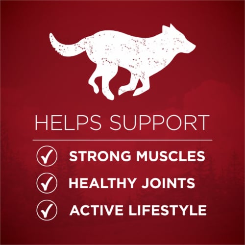 Purina ONE True Instinct Lean Muscle Support Adult Dry Dog Food Real Beef Perspective: right