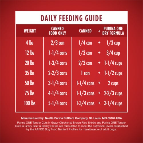 Purina ONE Tender Cuts in Gravy Wet Dog Food Variety Pack Chicken and Brown Rice and Beef and Barley Perspective: right