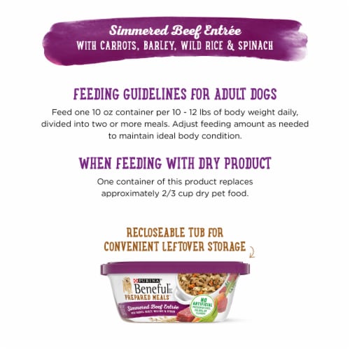 Purina Beneful Prepared Meals High Protein, Wet Dog Food Simmered Beef Entree with Gravy Perspective: right