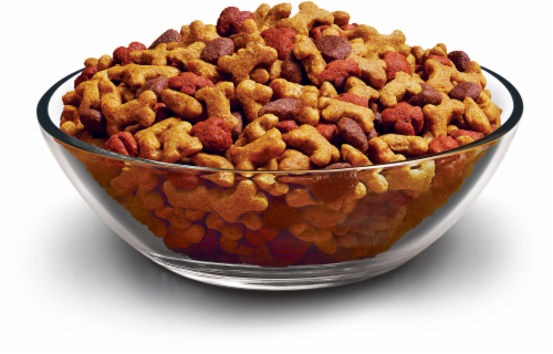 Dog Chow Small Dog Dry Food with Real Chicken Perspective: right