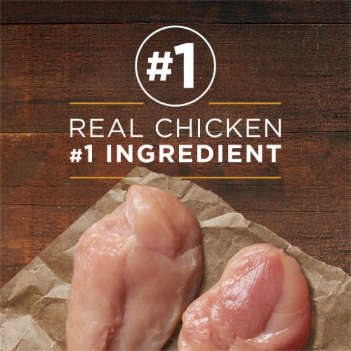 Purina ONE SmartBlend Chicken & Brown Rice Entree Classic Ground Adult Wet Dog Food Perspective: right