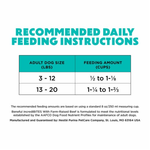 Purina® Beneful® IncrediBites® with Real Beef Small Breed Dry Dog Food Perspective: right