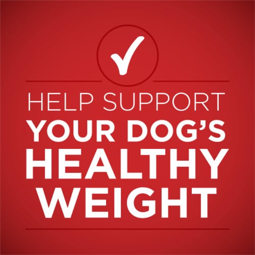 Purina ONE +Plus Healthy Weight Wet Dog Food Tender Cuts in Gravy Lamb & Brown Rice Perspective: right