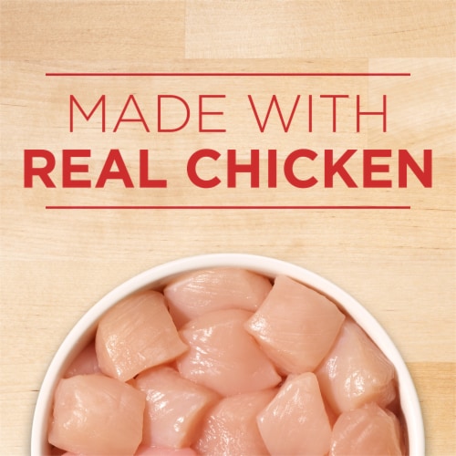 Purina ONE SmartBlend Tender Cuts Chicken & Brown Rice Entree in Gravy Adult Wet Dog Food Perspective: right