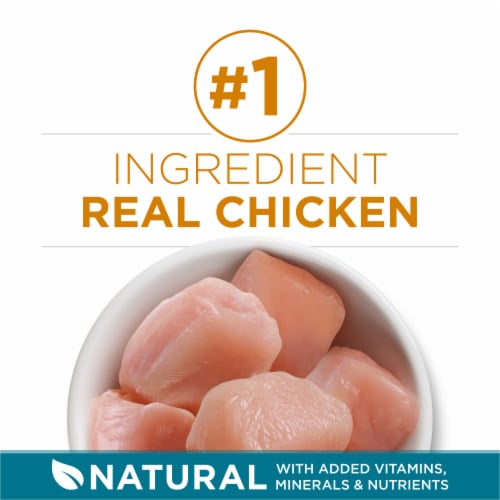 Purina ONE Tender Selects Blend with Real Chicken Natural Dry Cat Food Perspective: right