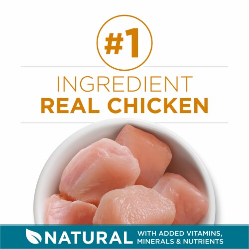 Purina ONE Tender Selects Blend with Real Chicken Natural Dry Cat Food Perspective: right